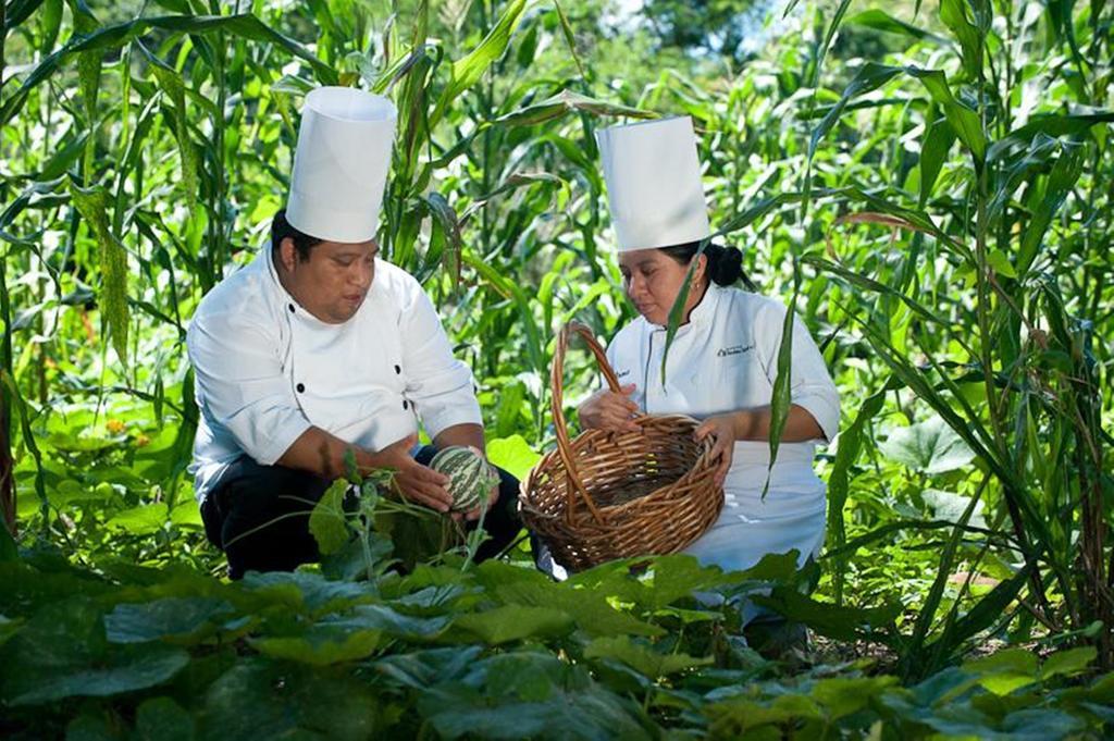 Hacienda Chichen Resort And Yaxkin Spa Eksteriør billede