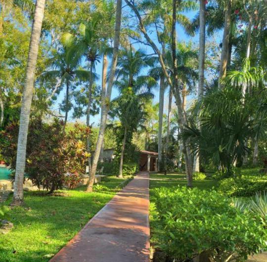Hacienda Chichen Resort And Yaxkin Spa Eksteriør billede